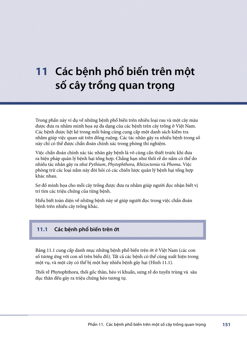 Các bệnh phổ biến trên một số cây trồng quan trọng