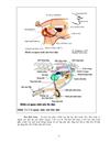 Sự sinh sản vật nuôi