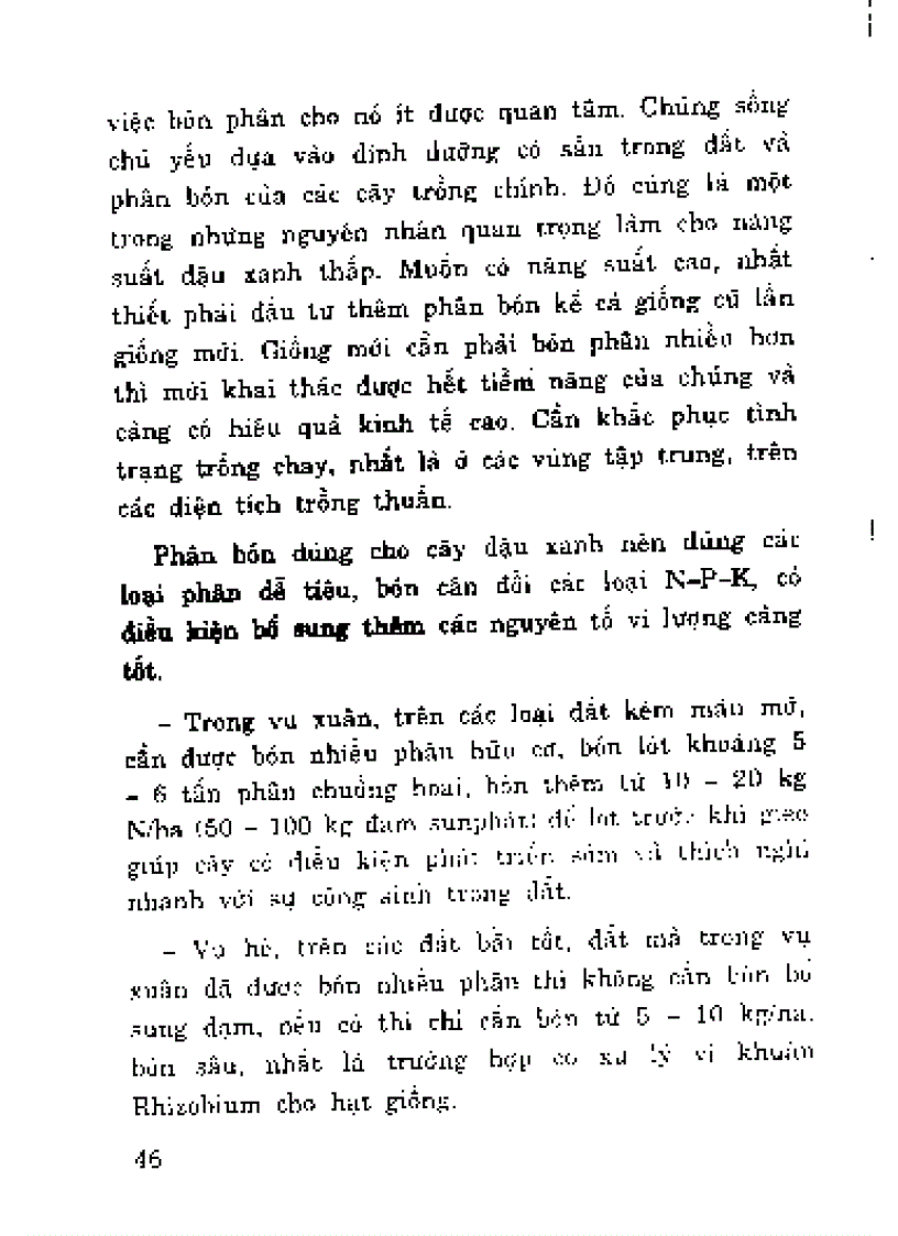 Kĩ thuật trông đậu xanh