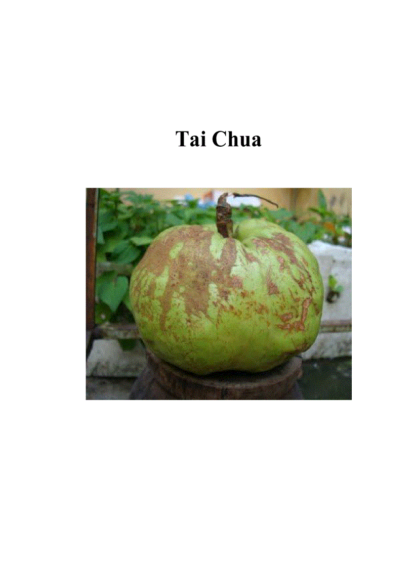 Tai Chua