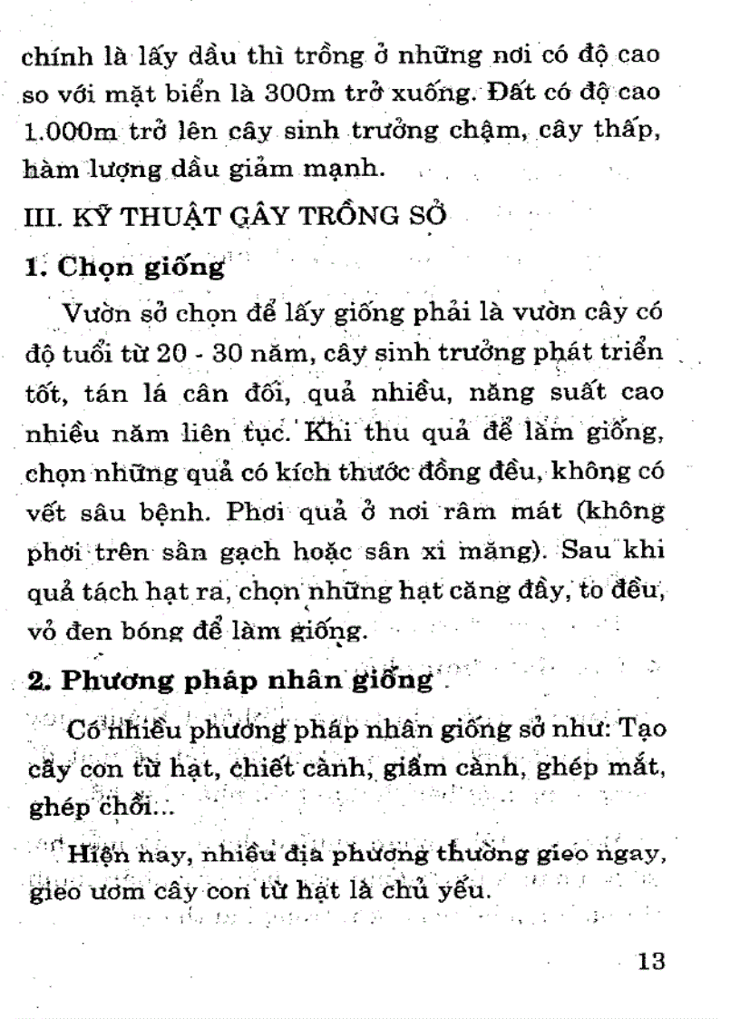 Kĩ thuật trồng cây Sở