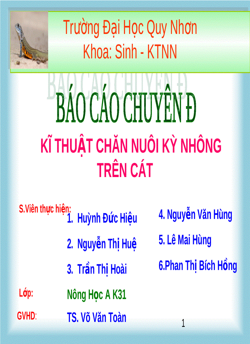 Kỹ thuật chăn nuôi kì nhông trên cát