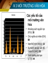 Kế toán quốc tế