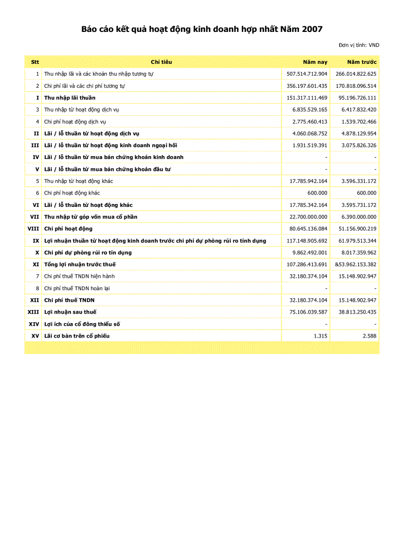 Báo cáo kết quả hoạt động kinh doanh hợp nhất Năm 2007