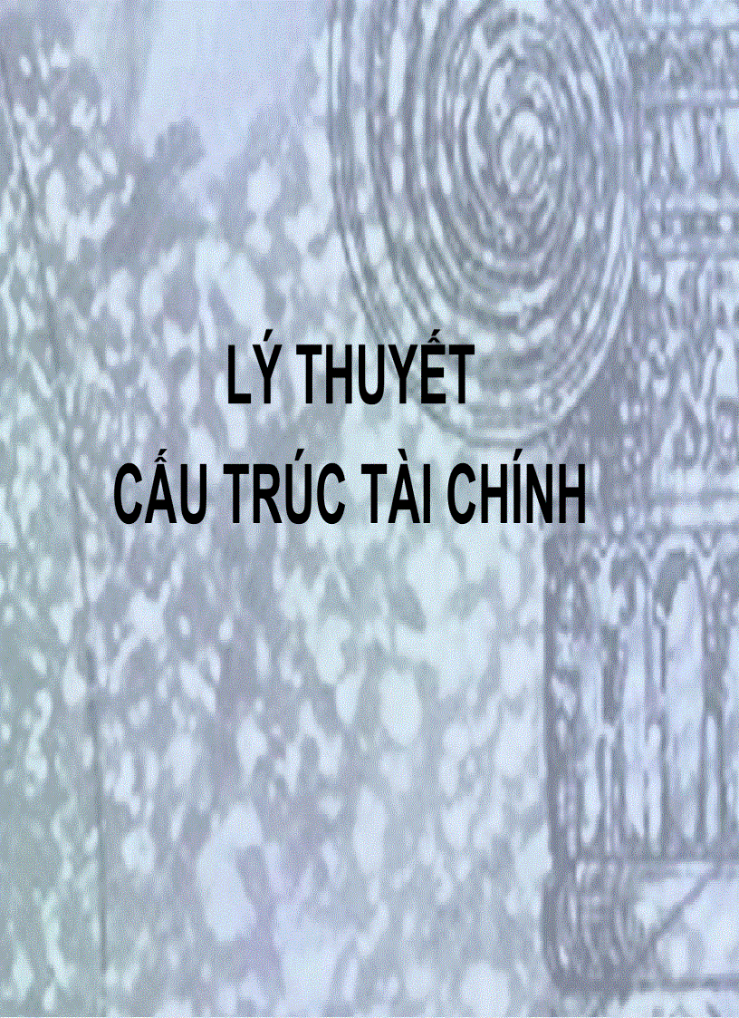 Lý thuyết cấu trúc tài chính