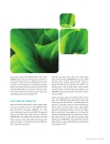 Abbank s annual report 2010