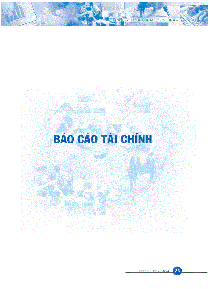 Báo cáo tài chính 3