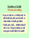 Vệ sinh môi trường