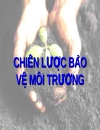 Chiến lược bảo vệ môi trường