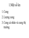 Lý thuyết cung cầu