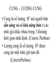 Lý thuyết cung cầu