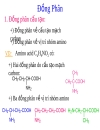 Aminoacid peptid protein