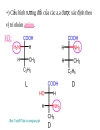 Aminoacid peptid protein