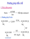 Aminoacid peptid protein