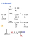 Aminoacid peptid protein