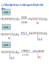 Aminoacid peptid protein