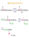 Aminoacid peptid protein