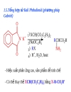 Aminoacid peptid protein