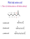 Aminoacid peptid protein