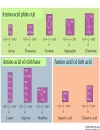 Aminoacid peptid protein