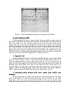 Kỹ thuật PCR