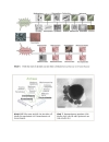 Cổ khuẩn Archaea