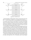 Data Segmentation