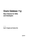 Oracle Database 11g P1