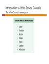 Session 3 Basic Web Server Controls