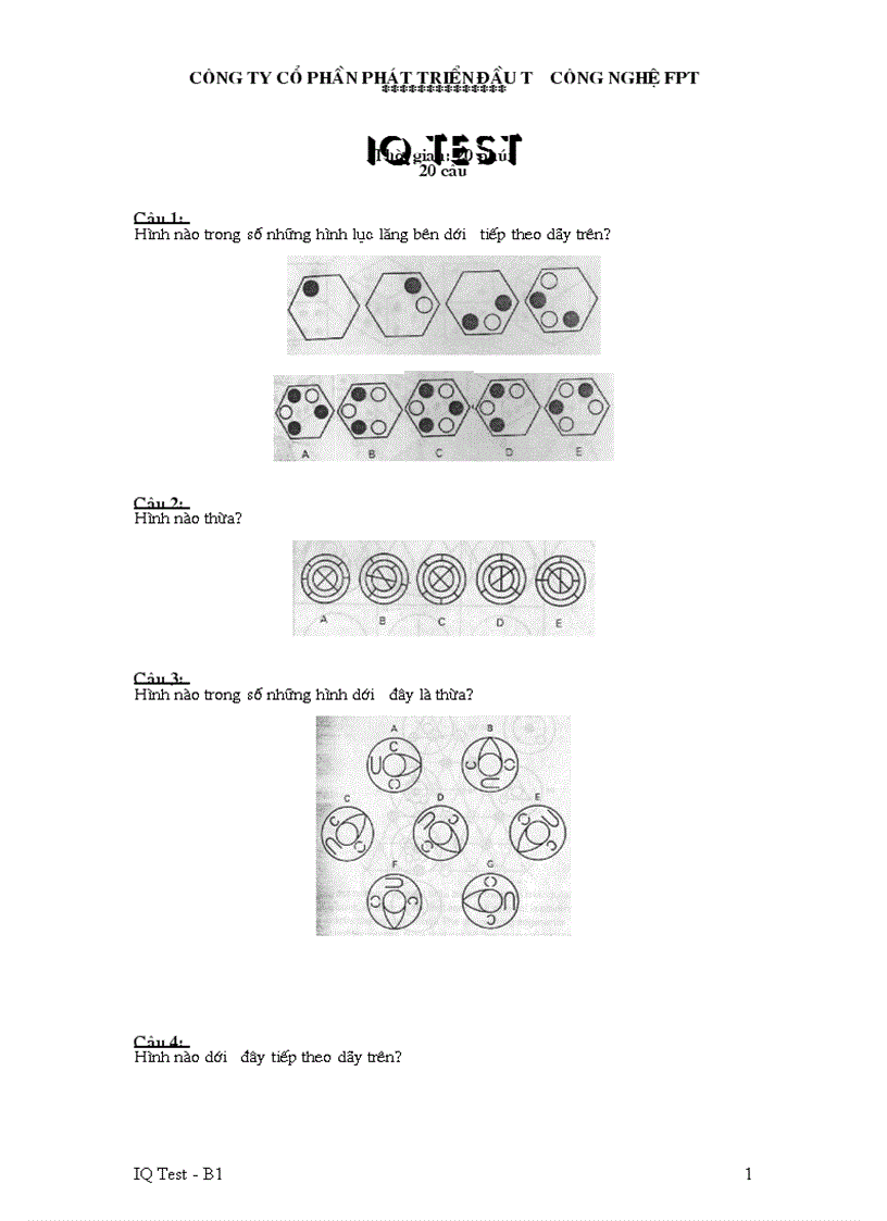 IQ test B1 FPT có đáp án