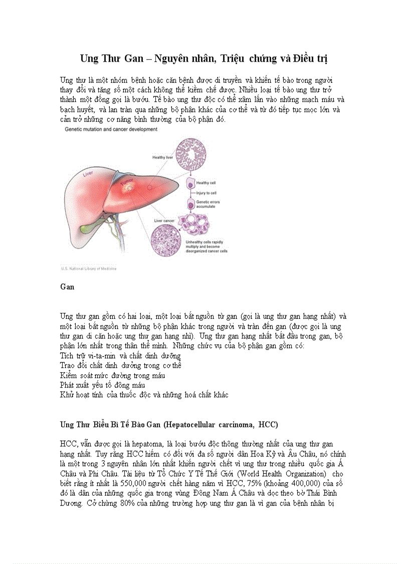 Ung Thư Gan Nguyên nhân Triệu chứng và Điều trị