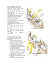 Đường mổ xương chậu theo cung đùi Letournel