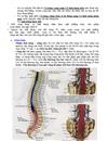 Gãy cột sống lưng thắt lưng