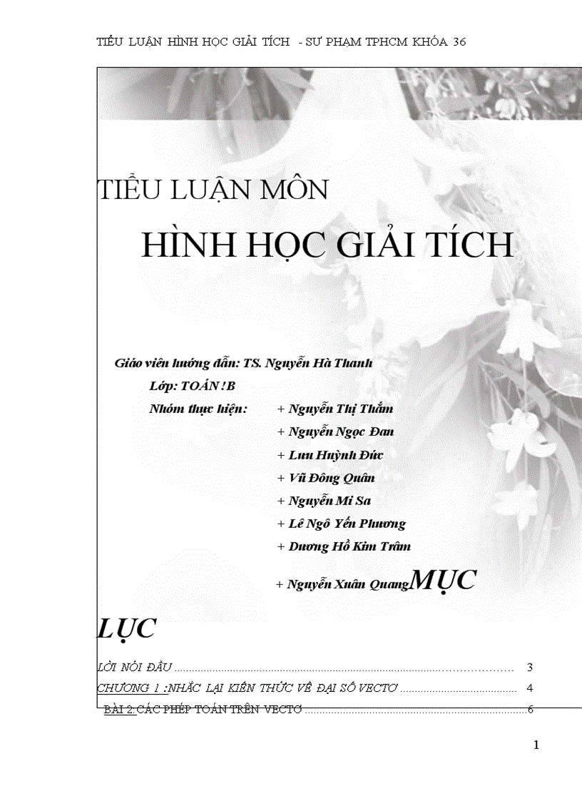 Tieu luan hinh hoc giai tich khoa toan truong dai hoc su pham