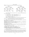 Đồ thị euler và đồ thị hamilton