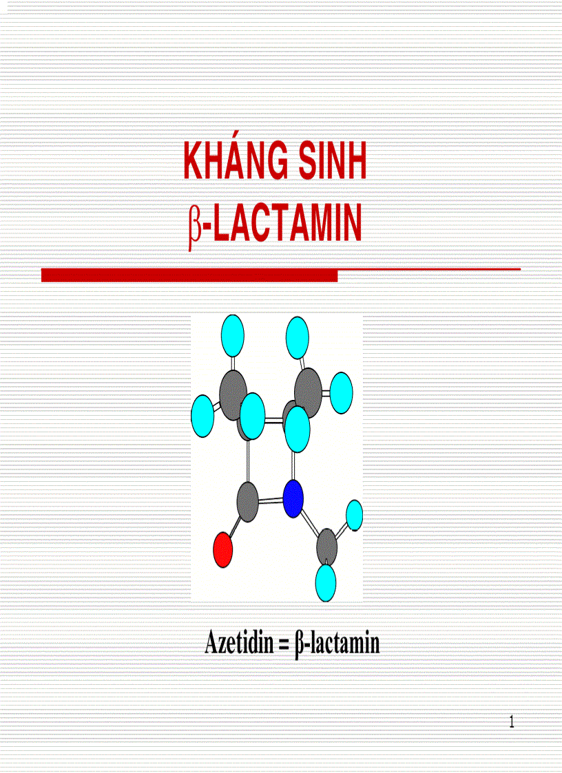 Kháng sinh β lactamin