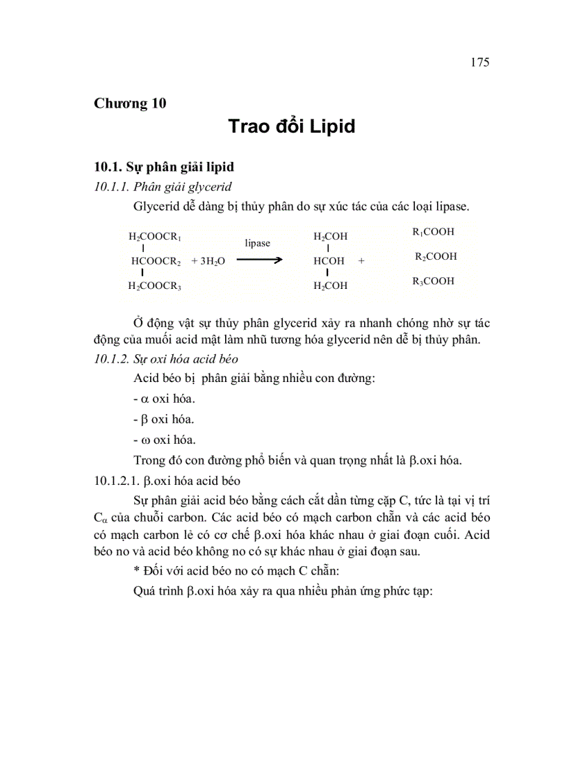 Trao đổi Lipid