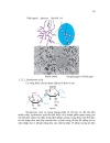 Saccharide