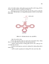 Nucleic acid