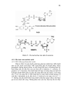 Nucleic acid