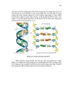 Nucleic acid