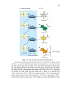 Nucleic acid