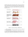 Nucleic acid