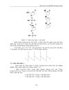 Acid nucleic