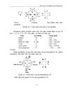 Hemoglobin 1