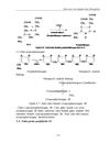 Hemoglobin 1