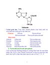 Hóa học acid nucleic an