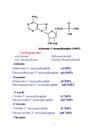 Hóa học acid nucleic an