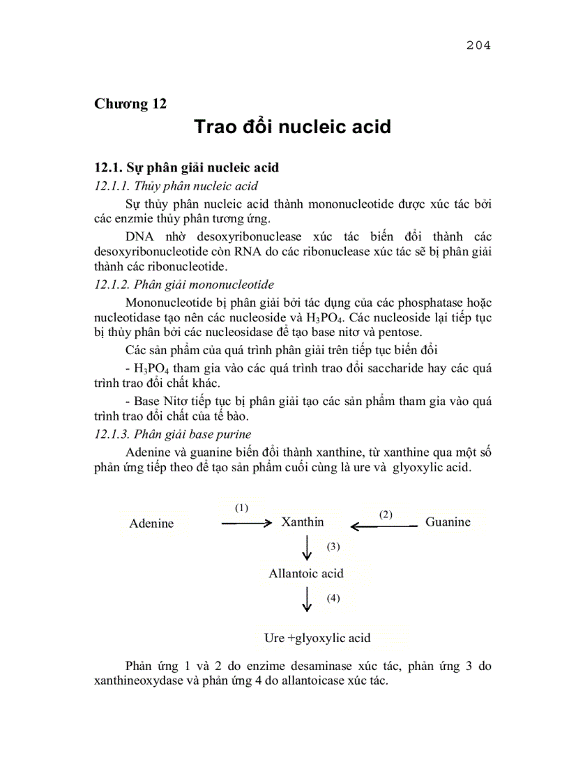 Trao đổi nucleic acid