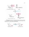 Sự trao đổi saccharide